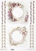 ramki, szlaczki, dekory, prymulki, pierwiosnek, prymulka, kwiat jabłoni*frames, borders, decors, primulas, primrose, primulas, apple blossom